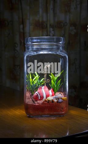 Aquarium Mini fait avec de vieux pots de verre Banque D'Images