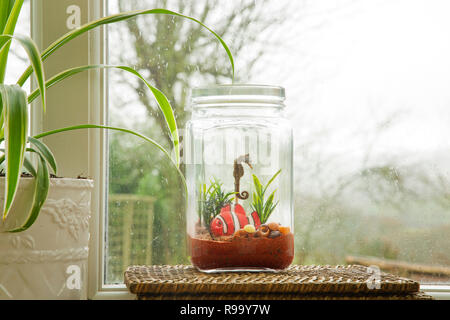 Aquarium Mini fait avec de vieux pots de verre Banque D'Images