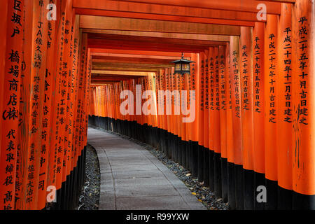 Beau tunnel de torii portes dans le sanctuaire Fushimi Inari de Kyoto, Japon Banque D'Images