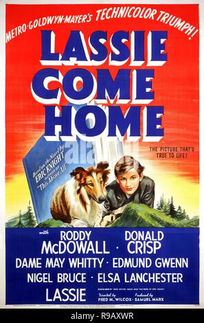 Titre original : LASSIE COME HOME. Titre en anglais : LASSIE COME HOME. Année : 1943. Réalisateur : FRED M. WILCOX. Credit : M.G.M. / Album Banque D'Images