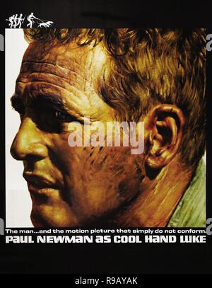 Titre original : Cool Hand Luke. Titre en anglais : Cool Hand Luke. Année : 1967. Réalisateur : STUART ROSENBERG. Credit : Warner Brothers / Album Banque D'Images