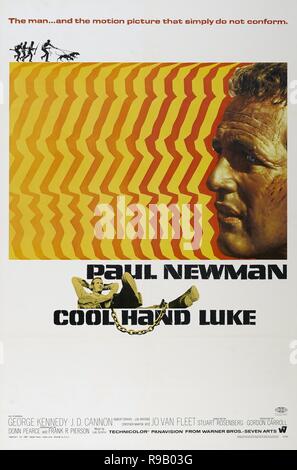 Titre original : Cool Hand Luke. Titre en anglais : Cool Hand Luke. Année : 1967. Réalisateur : STUART ROSENBERG. Credit : Warner Brothers / Album Banque D'Images