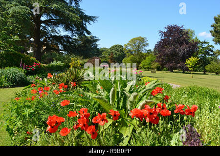 Exbury Gardens, Hampshire, Royaume-Uni Banque D'Images