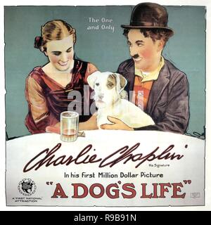 Film Original Titre : UNE VIE DE CHIEN. Titre en anglais : UNE VIE DE CHIEN. Année : 1918. Directeur : CHARLIE CHAPLIN. Stars : Charlie Chaplin. Credit : premier album / NATIONAL Banque D'Images