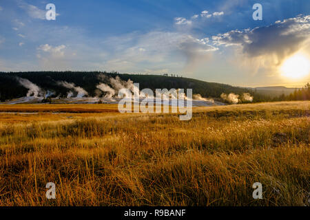 Lumière du matin dans un champ près du geyser Old Faithful Inn, le Parc National de Yellowstone Banque D'Images