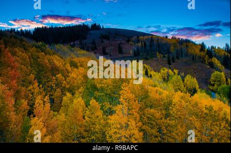 La variation de couleur d'automne dans un cadre montagnard. Banque D'Images