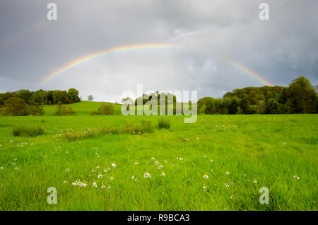 Pleine fleur arc-en-ciel sur prairie et arbres près de Midhurst, le Parc National des South Downs, Sussex, UK Banque D'Images