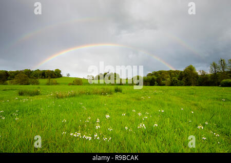 Pleine fleur arc-en-ciel sur prairie et arbres près de Midhurst, le Parc National des South Downs, Sussex, UK Banque D'Images