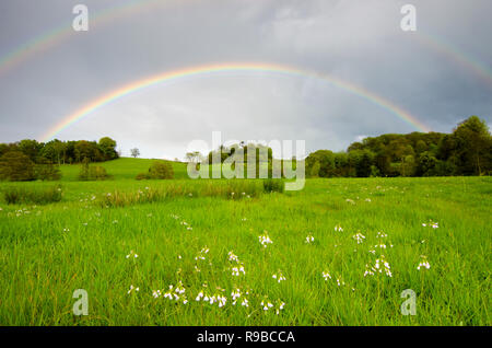 Pleine fleur arc-en-ciel sur prairie et arbres près de Midhurst, le Parc National des South Downs, Sussex, UK Banque D'Images