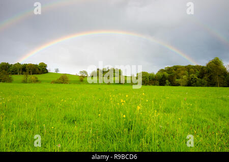 Pleine fleur arc-en-ciel sur prairie et arbres près de Midhurst, le Parc National des South Downs, Sussex, UK Banque D'Images