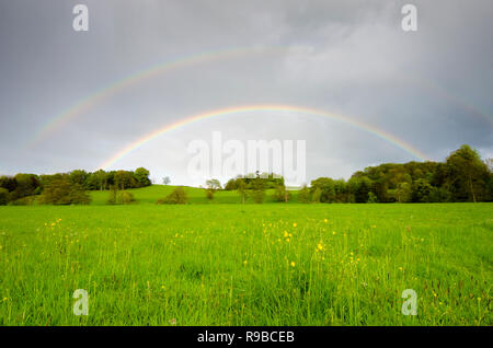 Pleine fleur arc-en-ciel sur prairie et arbres près de Midhurst, le Parc National des South Downs, Sussex, UK Banque D'Images