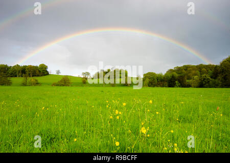 Pleine fleur arc-en-ciel sur prairie et arbres près de Midhurst, le Parc National des South Downs, Sussex, UK Banque D'Images