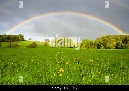 Pleine fleur arc-en-ciel sur prairie et arbres près de Midhurst, le Parc National des South Downs, Sussex, UK Banque D'Images