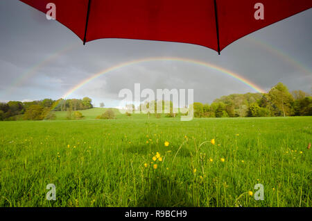 En vertu de l'avis à la pleine fleur arc-en-ciel sur prairie et arbres près de Midhurst, le Parc National des South Downs, Sussex, UK Banque D'Images