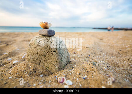 Image de shell sur la rive sablonneuse sur cairn Banque D'Images