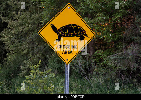 Turtle crossing sign on rural road Banque D'Images