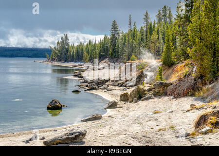 Visiter le Parc National de Yellowstone, Wyoming, USA en octobre Banque D'Images