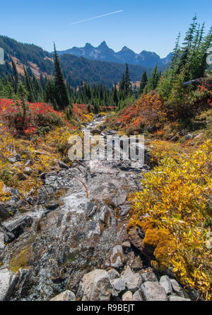 Le mont Rainier juste à l'extérieur de Seattle, Washington iwith feuillage de l'automne Banque D'Images