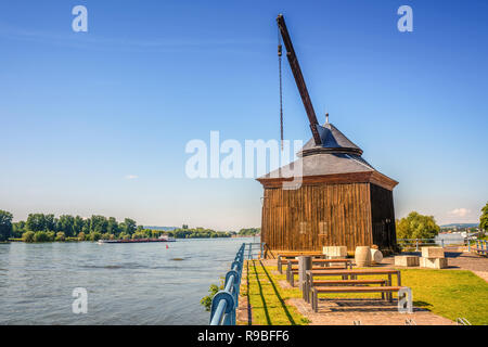 Grue de vin, Oestrich Winkel, Allemagne Banque D'Images