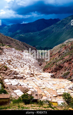 Étangs salins en terrasses de Maras (Salinas de Maras), Vallée Sacrée, Pérou Banque D'Images