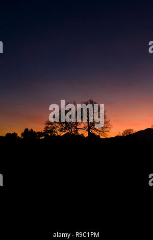 Vue aérienne d'un spectaculaire coucher de soleil derrière des belles montagnes et la silhouette de quelques arbres au premier plan. Banque D'Images