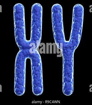 Les chromosomes X et Y. Isolé sur fond noir. 3D render Banque D'Images