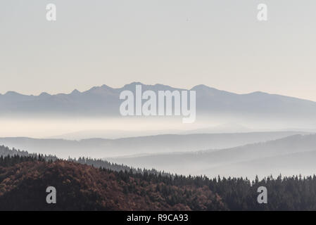 Vue de montagnes Tatras Occidentales de Baranec Jakubina de sommet de montagne Hala Rycerzowa en Beskid Zywiecki montagnes en Pologne au cours de l'automne 24 w Banque D'Images