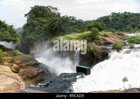 Haut de Murchison Falls ( Kabalega Falls) en Ouganda, Afrique Banque D'Images