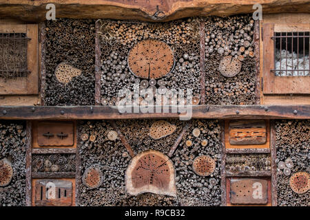 Hôtel pour insectes abeilles solitaires et artificielles de nidification pour les insectes invertébrés / nid / trous offrant des cavités dans des blocs de bois et de tiges creuses Banque D'Images