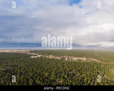 Vue aérienne de l'Brejos da Carregueira pinède maritime en Comporta Banque D'Images