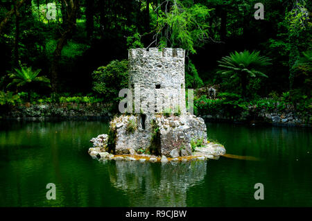 Jardin du parc de Pena - Sintra - Portugal Banque D'Images