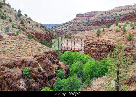 42 893,03504 creek canyon profond coupe gorges et falaises abruptes ouvert en enroulement et collines d'armoise, crêtes et bluffs dans le haut désert de centre de l'Oregon, USA Banque D'Images