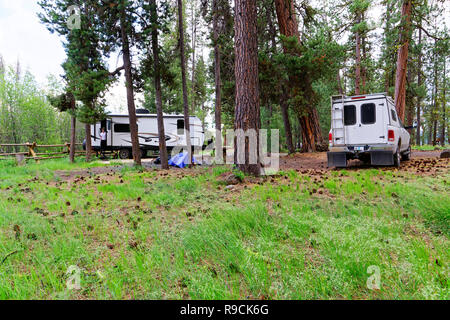Femme 42 894,03537 remorque RV camping & camionnette, vieux pins ponderosa Malheur National Forest, Big Creek Campground, Logan's Prairie, Oregon, USA Banque D'Images