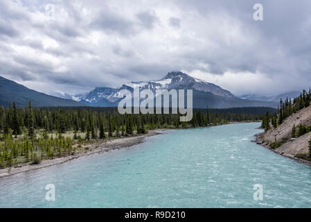 Saskatchewan Crossing River dans le parc national de Banff. Banque D'Images