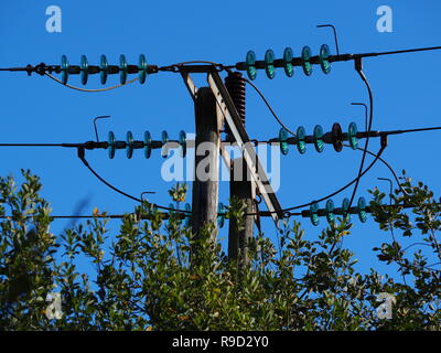 Les lignes de transport d'électricité aériennes avec isolateur en verre bleu au-dessus d'un des disques de couverture verte avec un ciel bleu clair Banque D'Images