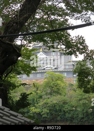 Photo dans le Jardin Korakuen à Okayama Castle dans la distance ; Octobre 2018 Banque D'Images