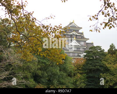Photo Le Jardin Korakuen à Okayama Castle dans la distance ; l'un des trois grands jardins du Japon ; Octobre 2018 Banque D'Images