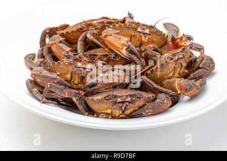 Necoras galicien (de Galice). De délicieux fruits de mer du golfe de Gascogne et l'Atlantique. Les crabes vivants et frais isolé sur fond blanc. Banque D'Images