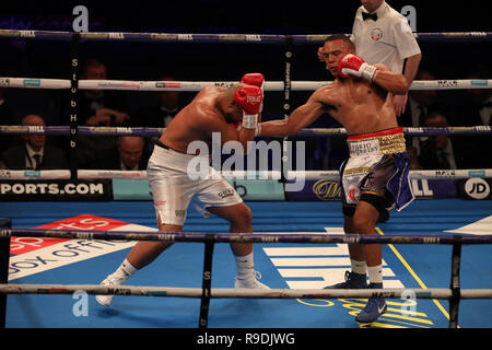 Londres, Royaume-Uni. 22 Dec 2018. L'argent et le WBC International WOB Heavyweight Championship Boxing, Dillian Dereck Chisora Whyte versus ; Undercard lutte comme Fabio Wardley en action contre Phil Williams : Action Crédit Plus Sport Images/Alamy Live News Banque D'Images