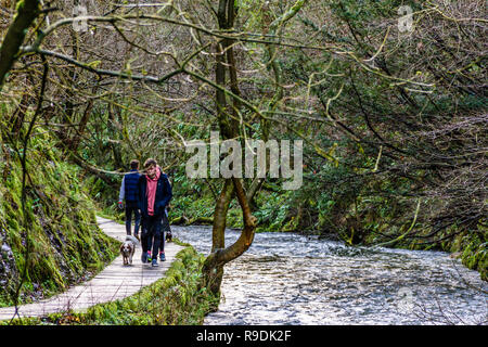 Les gens marchent à côté de la rivière Dove à Dovedale, bénéficiant d'une journée de décembre exceptionnellement doux. Dovedale, parc national de Peak District, décembre 2018. Banque D'Images