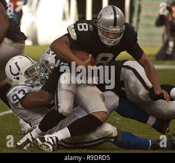 Oakland, Californie, USA. 26 déc, 2010. Indianapolis Colts Dwight Freeney défensive fin # 93 sacks Oakland Raiders quarterback Jason Campbell # 8 le dimanche, 26 décembre 2010, à Oakland-Alameda County Coliseum à Oakland, Californie. Les Colts défait les Raiders 31-26. Crédit : Al Golub/ZUMA/Alamy Fil Live News Banque D'Images