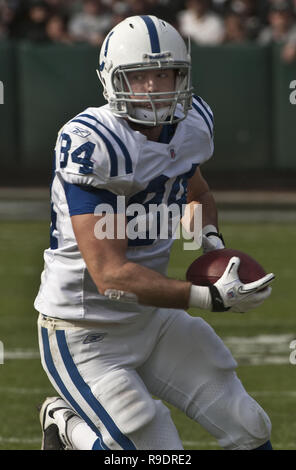 Oakland, Californie, USA. 26 déc, 2010. Indianapolis Colts tight end Jacob Tamme # 84 captures quarterback Peyton Manning # 18 passer le dimanche, Décembre 26, 2010, au Oakland-Alameda County Coliseum, Oakland, Californie. Les Colts défait les Raiders 31-26. Crédit : Al Golub/ZUMA/Alamy Fil Live News Banque D'Images