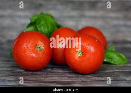 Frais et sains d'un rouge brillant avec des tomates mûres basilicum feuilles sur fond de bois Banque D'Images