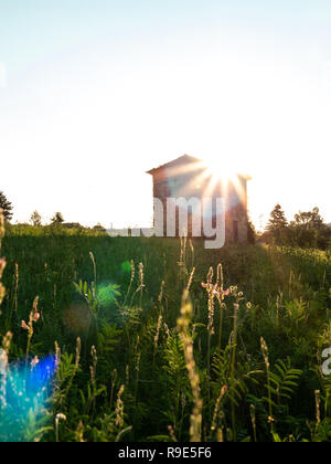 Cabane en pierre solitaire, paisible sur un pré au lever du soleil Banque D'Images