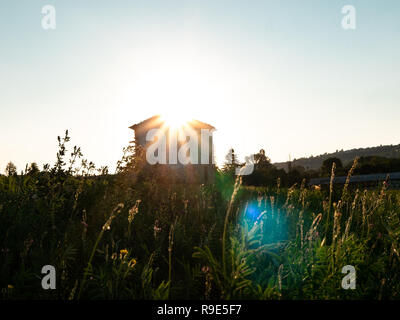 Cabane en pierre solitaire, paisible sur un pré au lever du soleil Banque D'Images