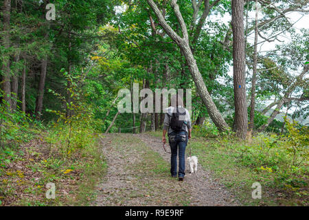 Sac à dos femme portant la marche dans les bois avec petit chien en laisse blanc Banque D'Images