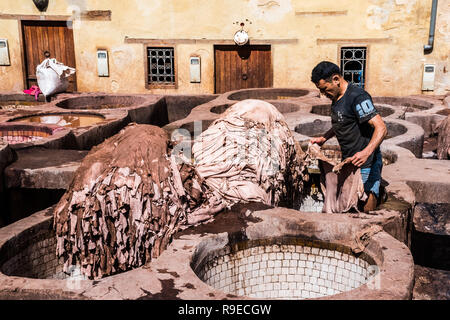 Fès - Maroc - 29 septembre 2018 : Les hommes qui travaillent dans les tanneries de Fès, Maroc Banque D'Images