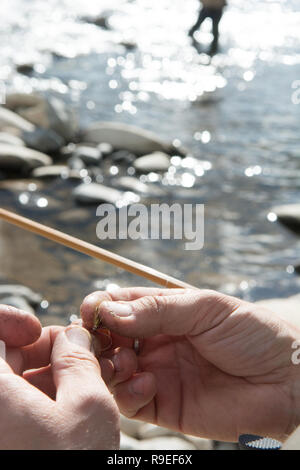 Aubenas (sud-est de la France) : la pêche à la mouche dans la rivière Ardèche. Au premier plan, un pêcheur en joignant une volée de sa canne à pêche. Banque D'Images