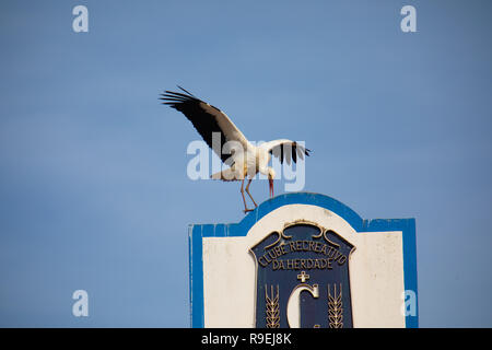 Nidification La cigogne blanche au-dessus de bâtiments de Comporta, Portugal Banque D'Images