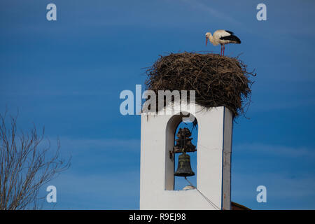 Nidification La cigogne blanche au-dessus de bâtiments de Comporta, Portugal Banque D'Images